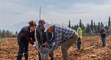 Kesilen cevizlerin yerine umut filizlendi
