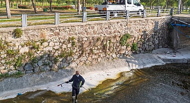 “Mevsimsel sinekler zararsız”