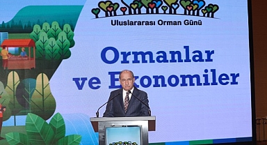 Ormanların Ekonomik Gücüne Dikkat Çekildi