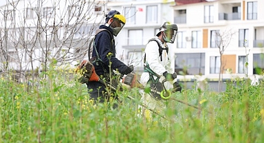 Osmangazi Yabani Otlardan Temizleniyor