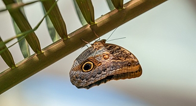 Selçuklu Belediyesi Ramazan Bayramı’na Hazır