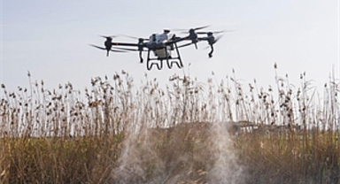 Sivrisinek ve zararlılara karşı İzmir modeli