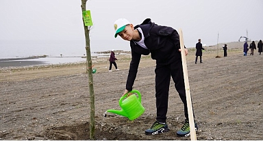 Yeni Yaşam Alanında Çınar Ağaçları Yükselecek