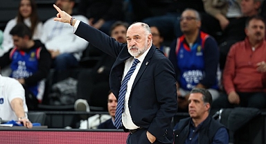 Anadolu Efes, Partizan mesaisinde