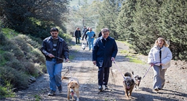 Barınaklardan 3 binin üzerinde hayvan sahiplendirildi