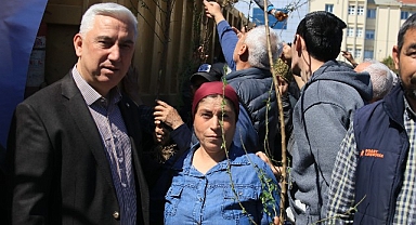 Bergama’dan Üretime Büyük Destek: Ahlat Ağaçları Aşılandı, Binlerce Fidan Dağıtıldı