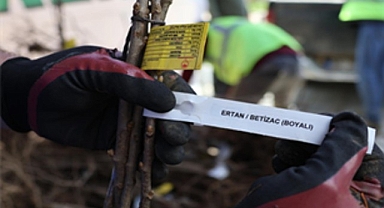 Beydağlı üreticiye çifte destek 