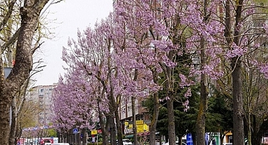 Beylikdüzü’nde Bahar Mesaisi Başladı