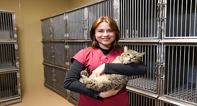 Buca’da 599 patili dost sıcak yuvaya kavuştu