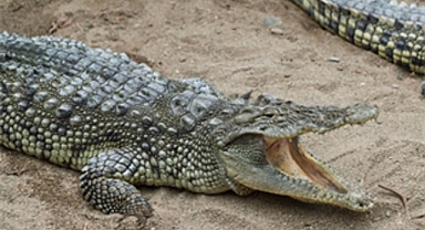 Büyükşehir’den çocuklara bayram hediyesi