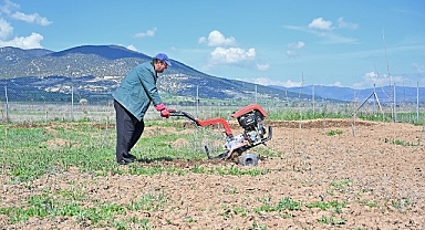 Büyükşehir ipek böceği yetiştiriciliğini yaygınlaştırıyor