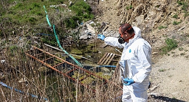 Çankaya’da İlaçlama Çalışmaları Hızlandı