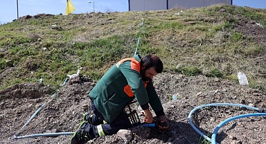 Çankaya’da Kurban Bayramı Hazırlıkları Başladı