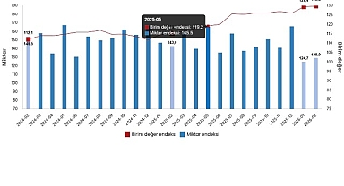 Dış Ticaret Endeksleri, Şubat 2026