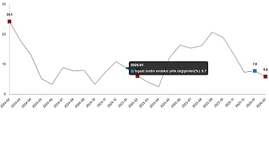 İnşaat Üretim Endeksi, Şubat 2026