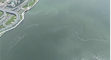 İzmir Körfezi’nde 10. kez dış kaynaklı kirlilik tespit edildi