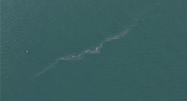 İzmir Körfezi’nde 13. dış kaynaklı kirlilik vakası