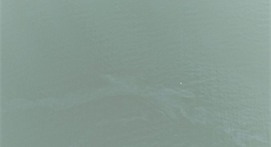 İzmir Körfezi’nde kirlilik alarmı: Aynı tehdit 11. kez görüldü