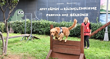 Kadıköy Belediyesi 4 Sertifikalı Arama Köpeği Olan Tek İlçe