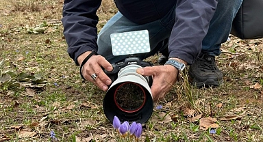 Keltepe Çiğdemi büyüledi 