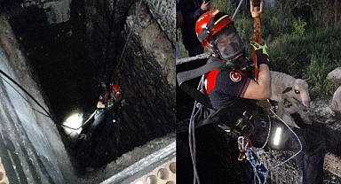 Kuyuya düşen kuzuya itfaiyeden nefes kesen kurtarma