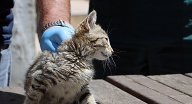 Maltepe’de “can dostlar” güvende