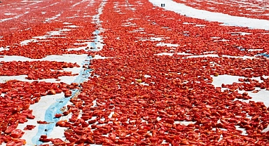 Meyve sebze mamulleri ihracatında aslan payı Ege Bölgesi’nin