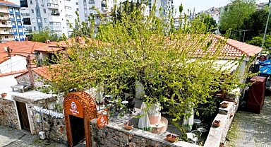 Narista Hayat, 17 Nisan’da Açılıyor