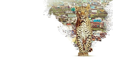 Nilgiri Dağlarını Keşfe Çıkaran ‘Nilgiris: Mavi Dağların Hikayesi’, 22 Nisan Çarşamba 20.00’de National Geographic WILD Ekranlarında!