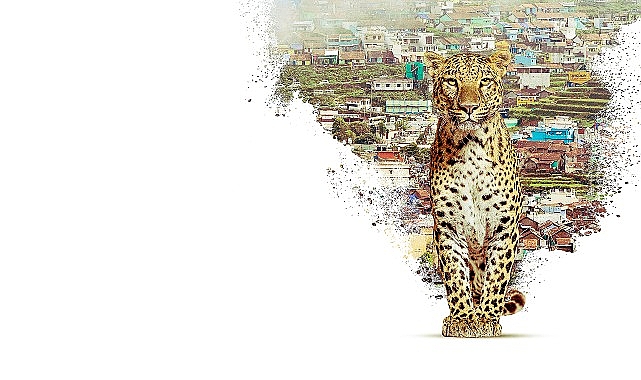 Nilgiri Dağlarını Keşfe Çıkaran ‘Nilgiris: Mavi Dağların Hikayesi’, 22 Nisan Çarşamba 20.00’de National Geographic WILD Ekranlarında!