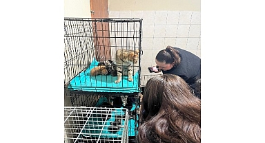 Patili dostlara anlamlı destek