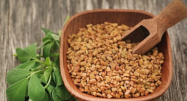 Prof. Dr. Nurhan Ünüsan; “Demirhindi, Bamya ve Çemen Otu, Mikroplastiklere Karşı Doğal Çözüm Sunuyor”