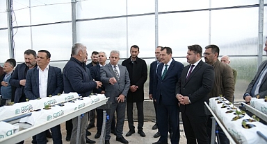 Soğucak Termal Serası’nda Üretim Başladı