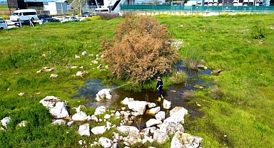 Torbalı Belediyesi’nden Halk Sağlığı İçin Seferberlik: Torbalı’da 12 Ay İlaçlama