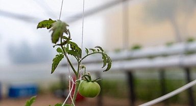 Yenişehir’den eğitime ‘Yeşil’ destek