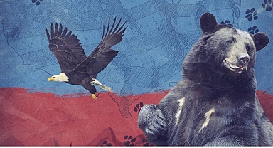 2 Bölümden Oluşan ‘Amerika’nın Hayvanları’, 24 Mayıs Pazar Saat 20.00’de National Geographic WILD Ekranlarında Başlıyor!