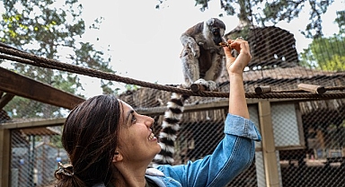 Antalya Doğal Yaşam Parkı’nda yavru lemur sevinci