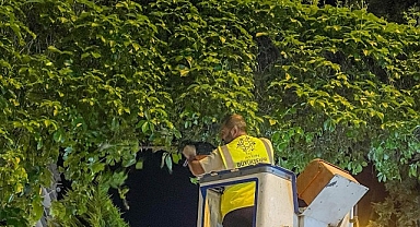 Başkan Çerçioğlu: Aydınımız İçin Gece Gündüz Çalışmaya Devam Ediyoruz