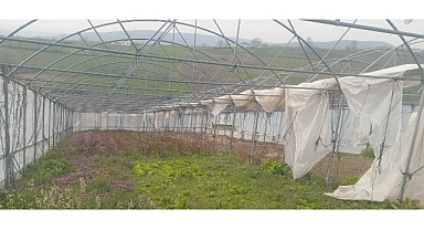 Büyükşehir’den seraları zarar gören üreticilere destek