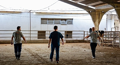 Büyükşehir’in kurban yakalama timi göreve hazır