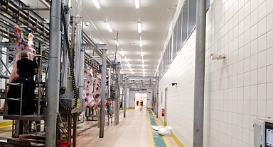 Büyükşehir Mezbahası’nda kurban kesim işlemi tamam