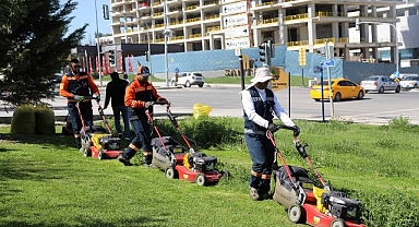 Çankaya Parklarında Çim Biçme Çalışması