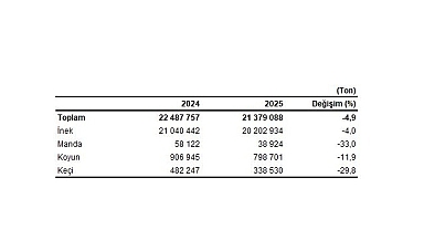  Çiğ Süt Üretim İstatistikleri, 2025