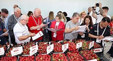 Çilek tadında festival, milyonu aşkın misafir ağırladı