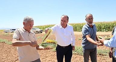 Çumra’nın Sarı İçli “Tatar Karpuzu” Yeniden Gündemde