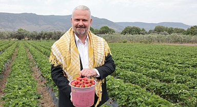 En lezzetli Festival için geri sayım başladı