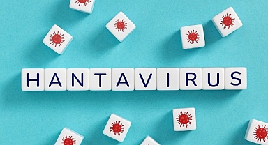 Hantavirüsün insandan insana yayılım riski düşük