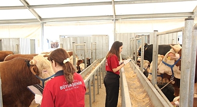 İBB’nin 4 Modern Tesisi Kurban Bayramı İçin Hazır