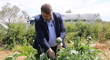 İlçenin önemli tarımsal üretim merkezlerinden Düzce Köyü’nde gerçekleşen hasada, Seferihisar Belediye Başkanı İsmail Yetişkin de katıldı. 