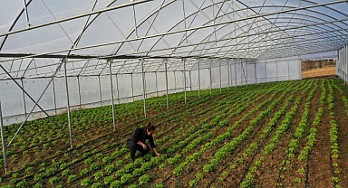 Kocaeli’de seracılık, Büyükşehir’le yaygınlaşıyor